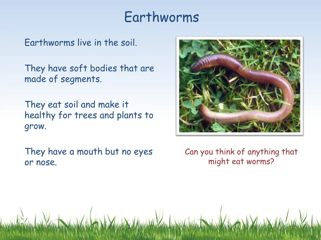 earthworms