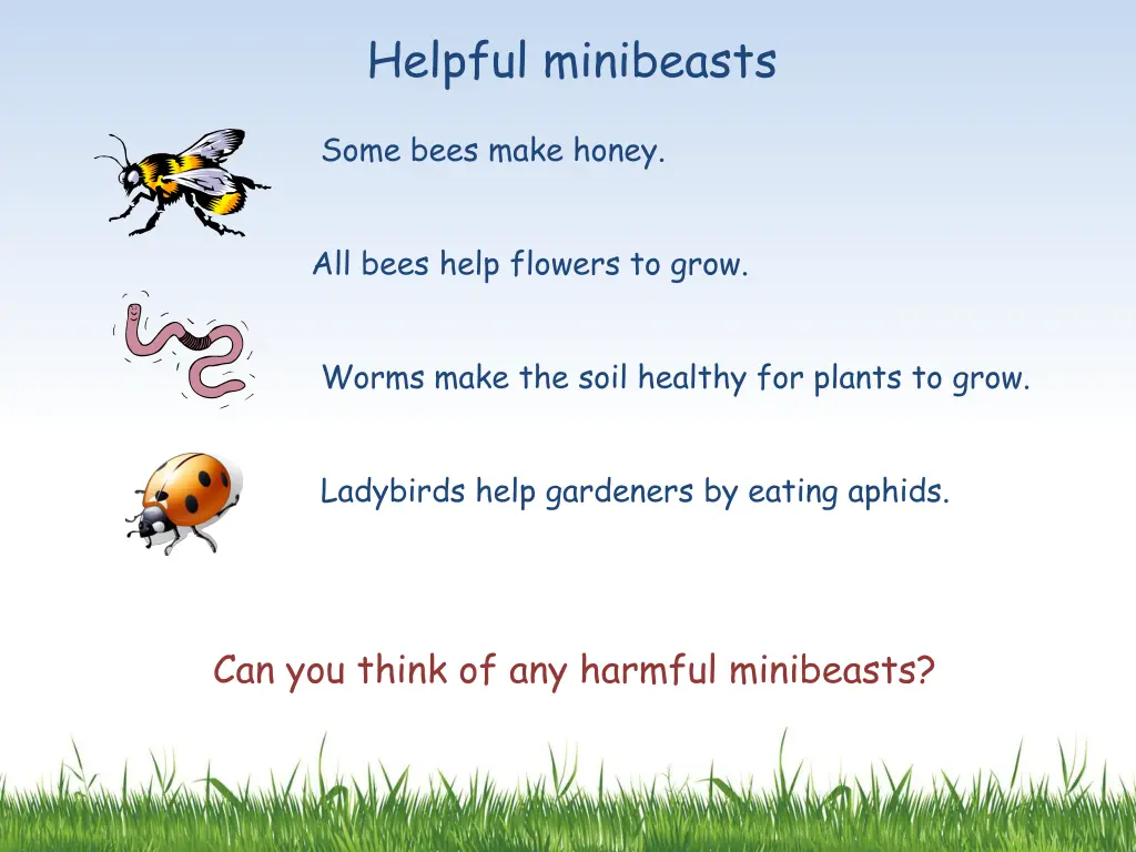 helpful minibeasts