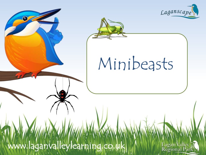 minibeasts