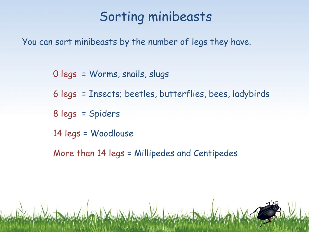 sorting minibeasts