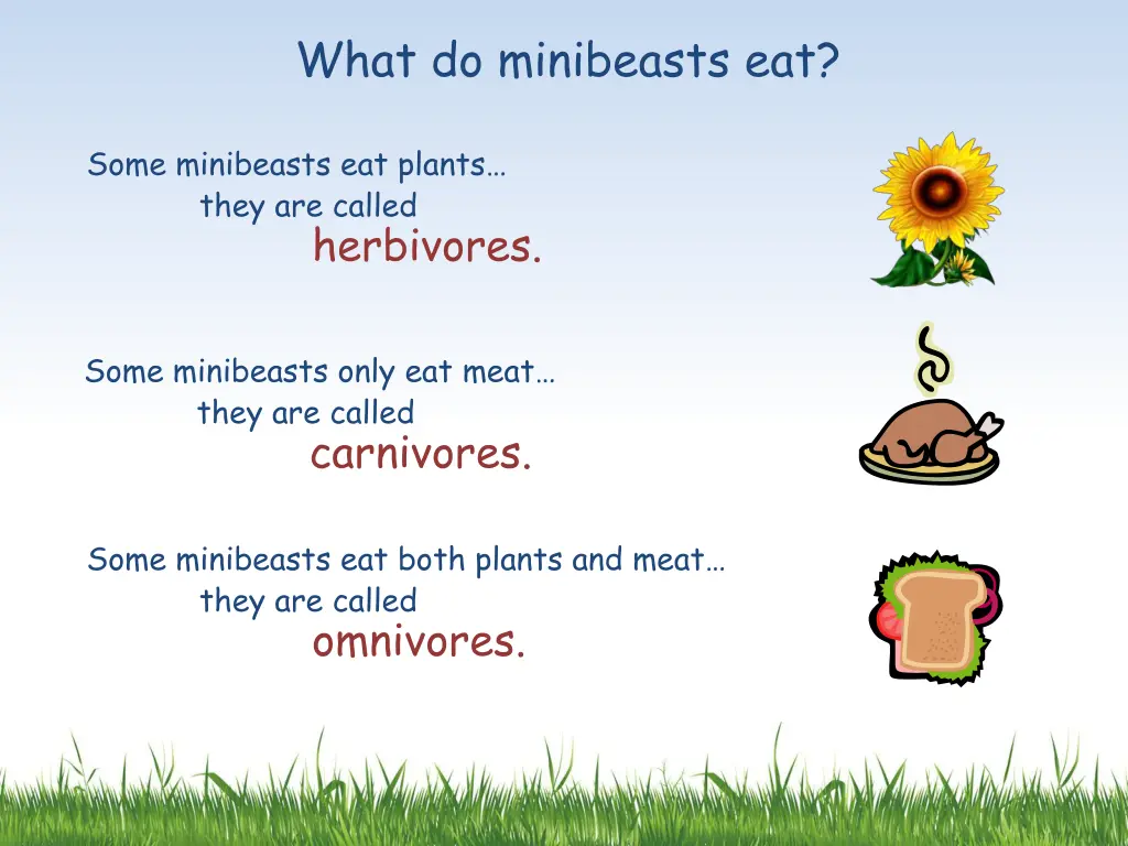 what do minibeasts eat