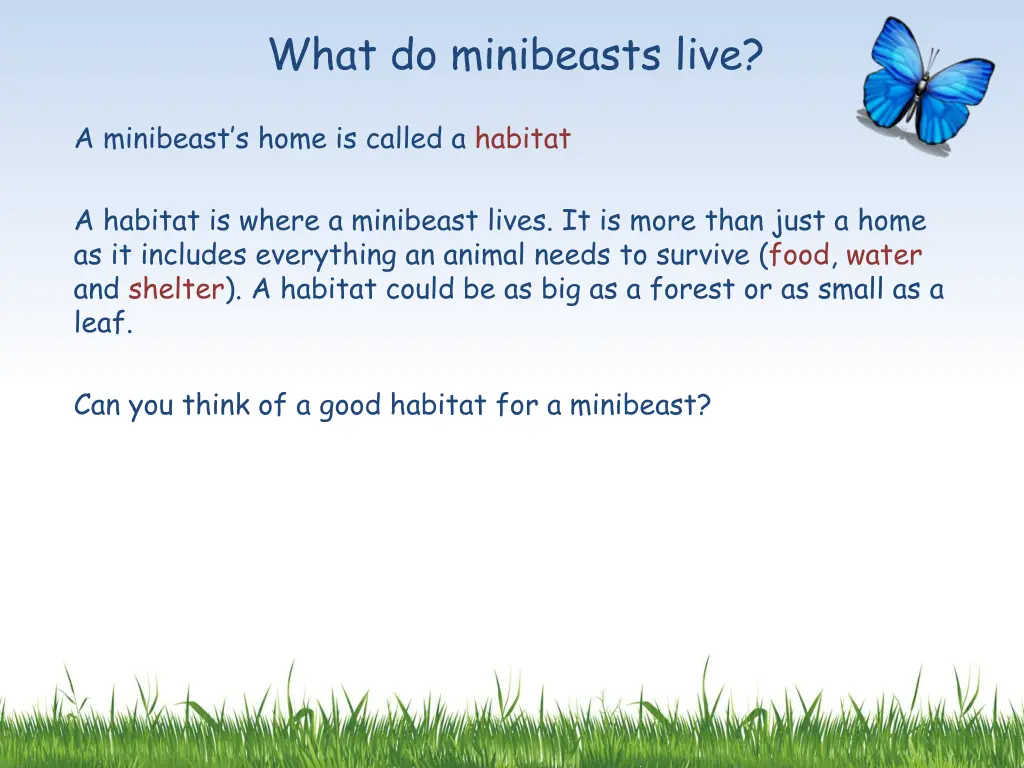 what do minibeasts live