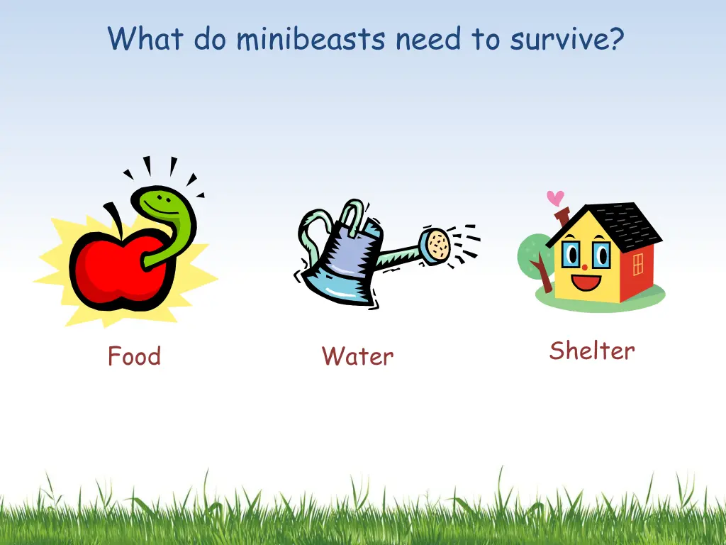 what do minibeasts need to survive