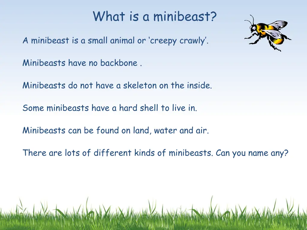 what is a minibeast