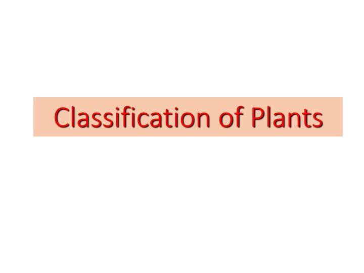 classification of plants