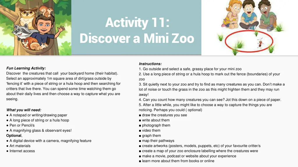 activity 11 discover a mini zoo