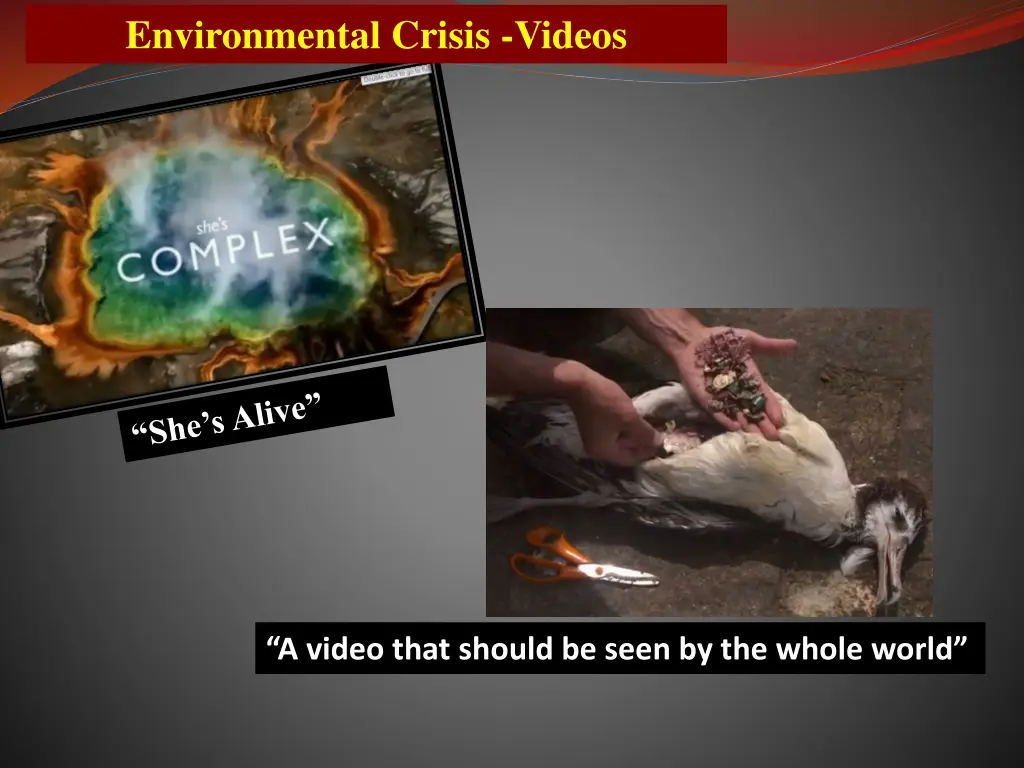 environmental crisis videos