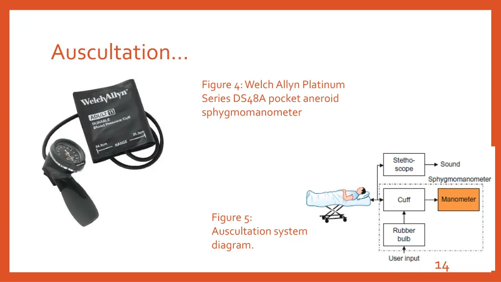 auscultation 2