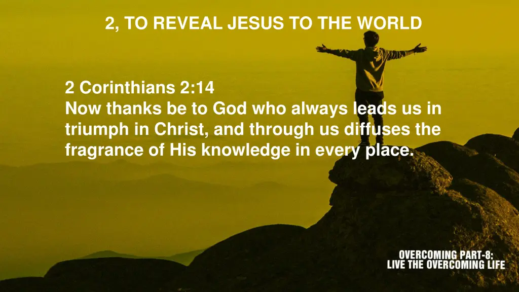 2 to reveal jesus to the world