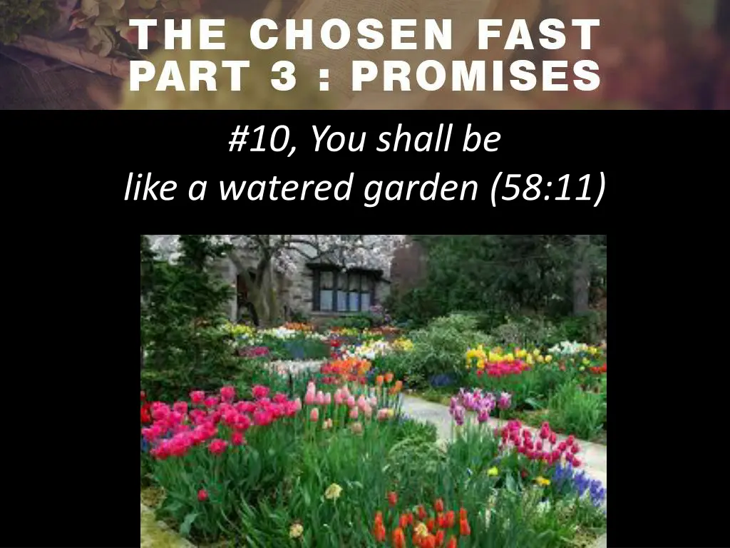 10 you shall be like a watered garden 58 11