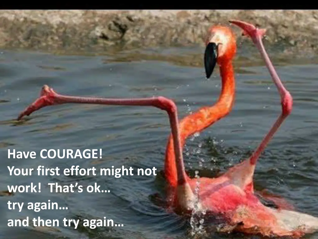 have courage your first effort might not work