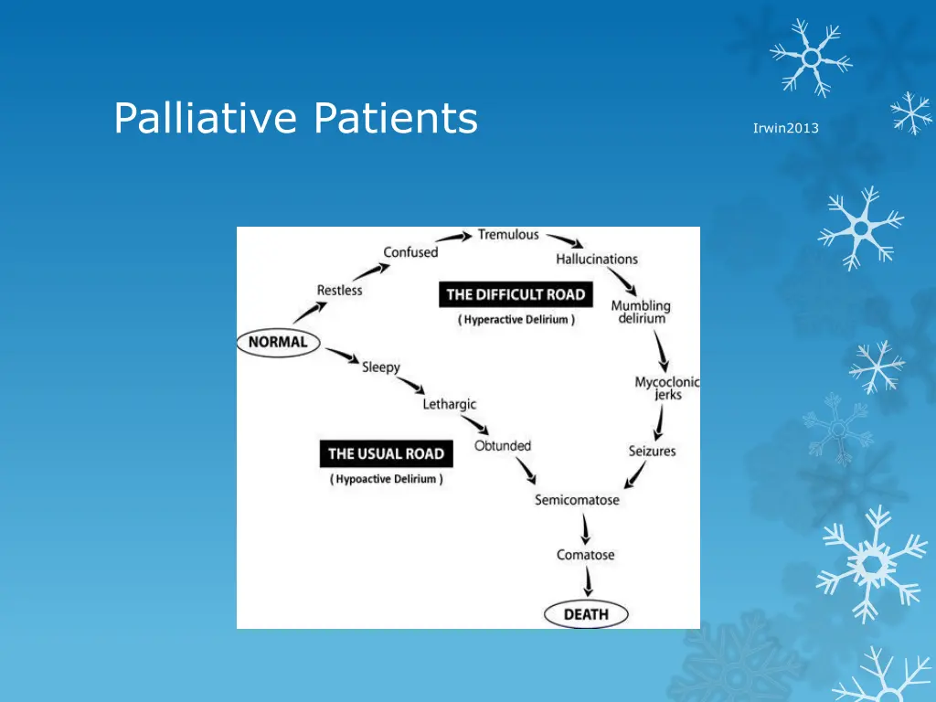 palliative patients