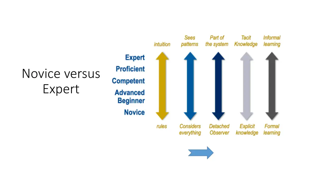 novice versus expert