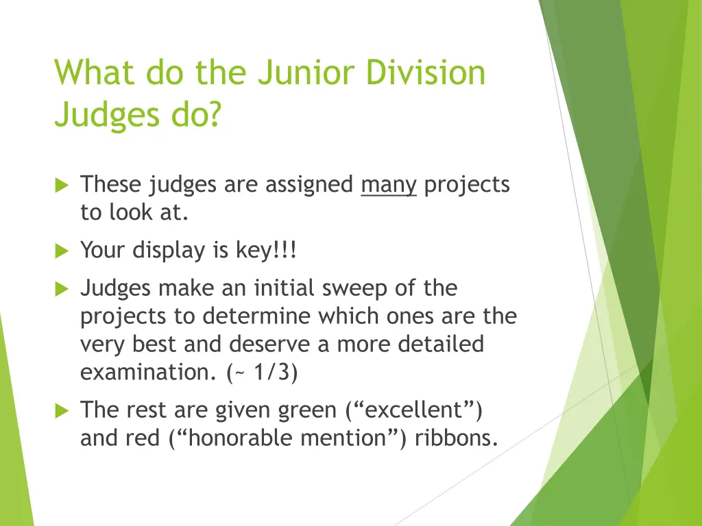 what do the junior division judges do