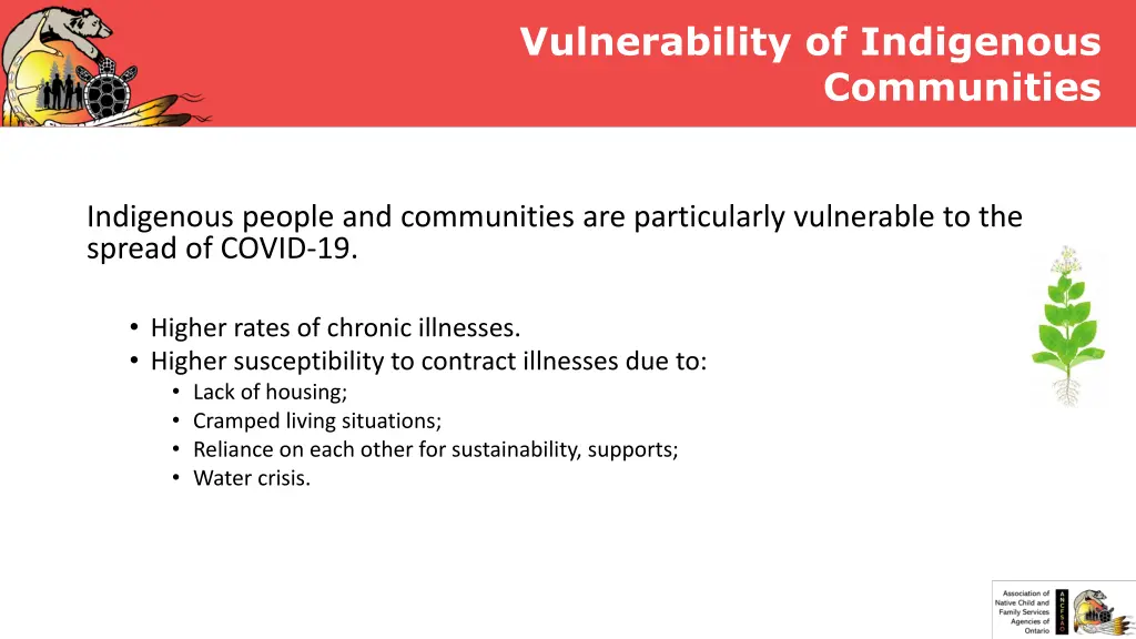 vulnerability of indigenous 1