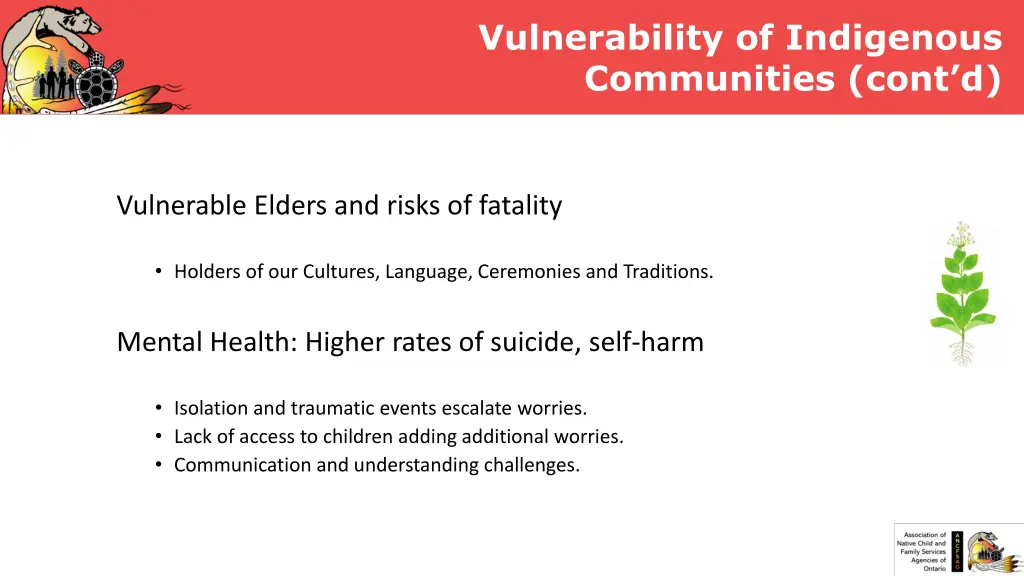 vulnerability of indigenous communities cont d