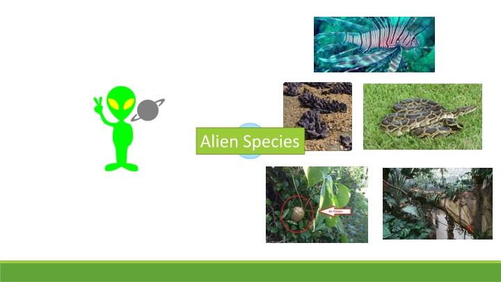 alien species