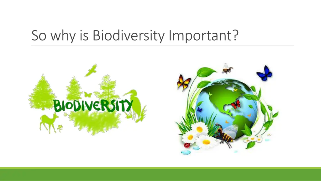 so why is biodiversity important