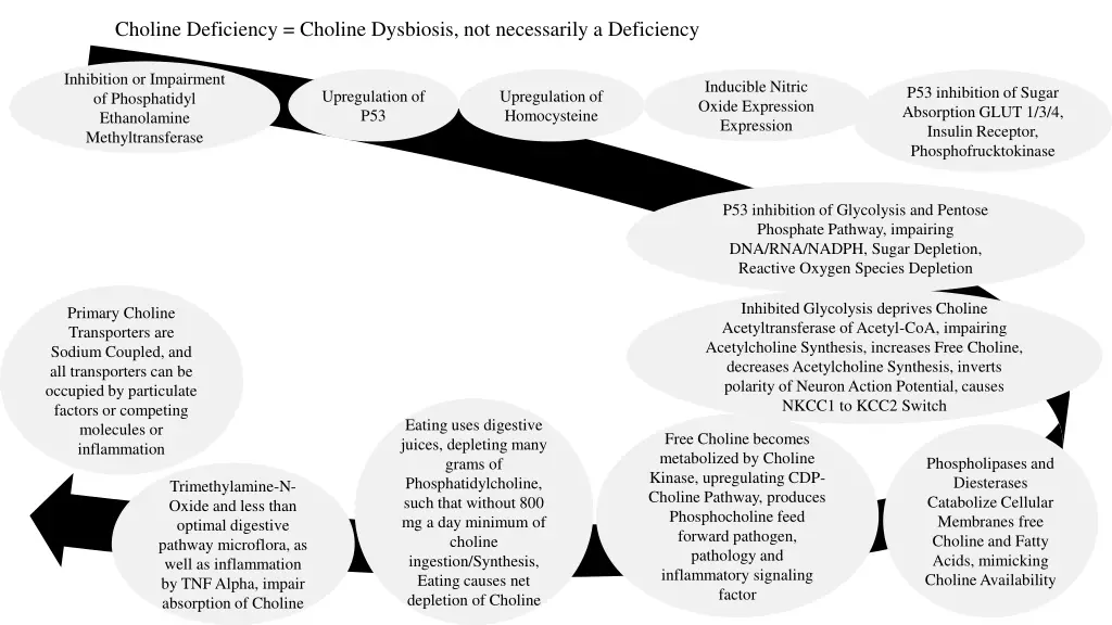 choline deficiency choline dysbiosis