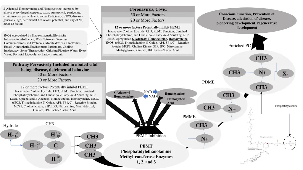 coronavirus covid 50 or more factors 20 or more