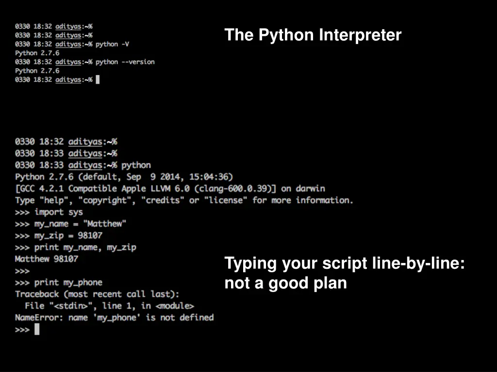 the python interpreter