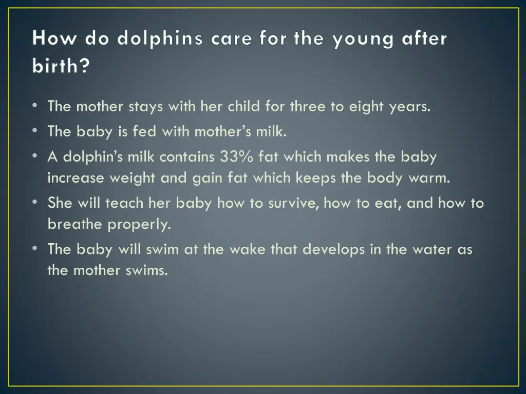 how do dolphins care for the young after birth