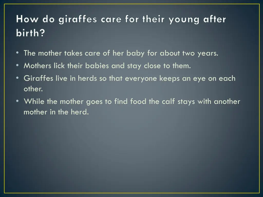 how do giraffes care for their young after birth