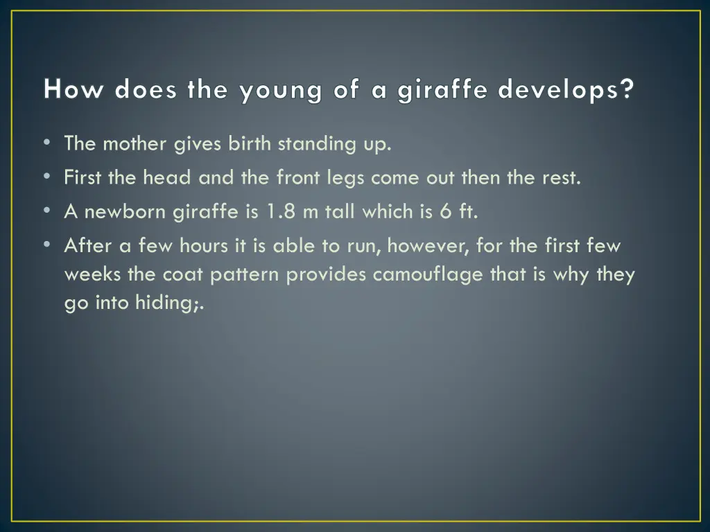 how does the young of a giraffe develops