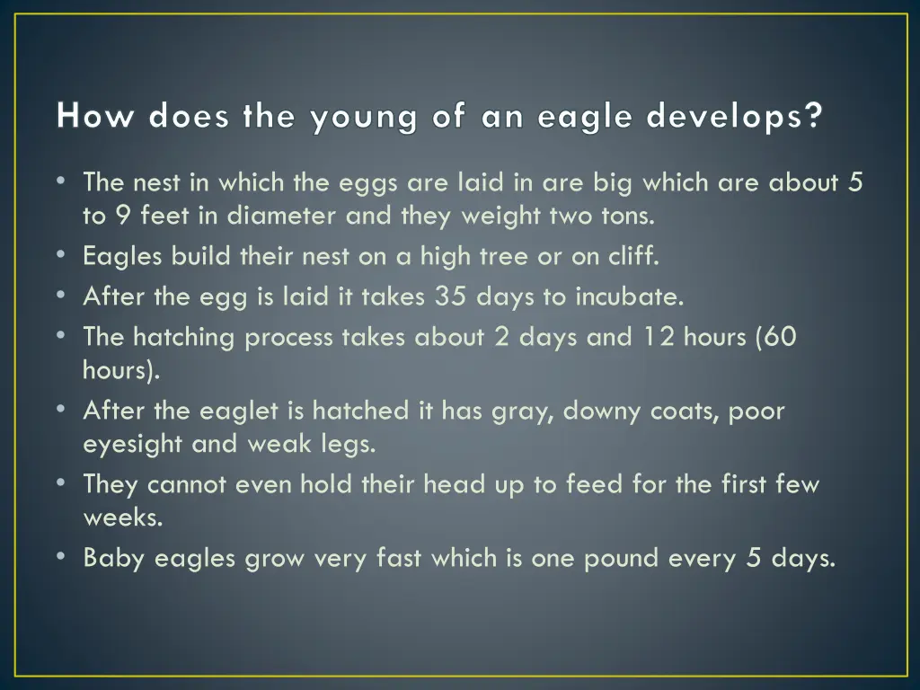 how does the young of an eagle develops