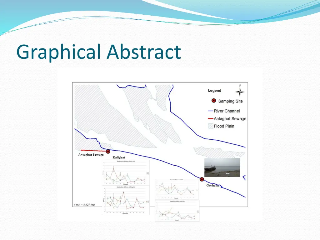 graphical abstract