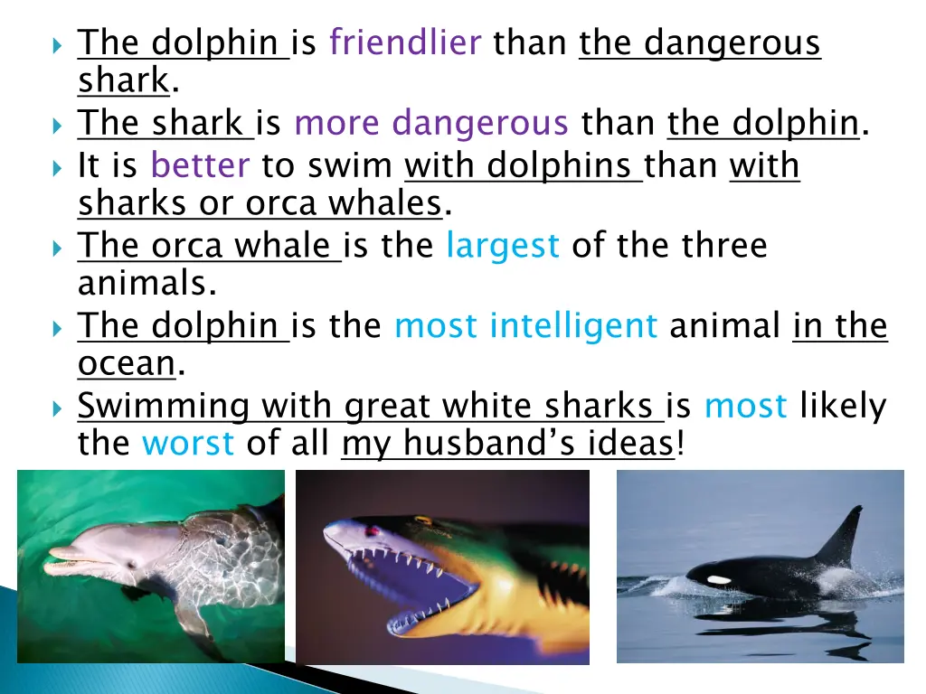 the dolphin is friendlier than the dangerous