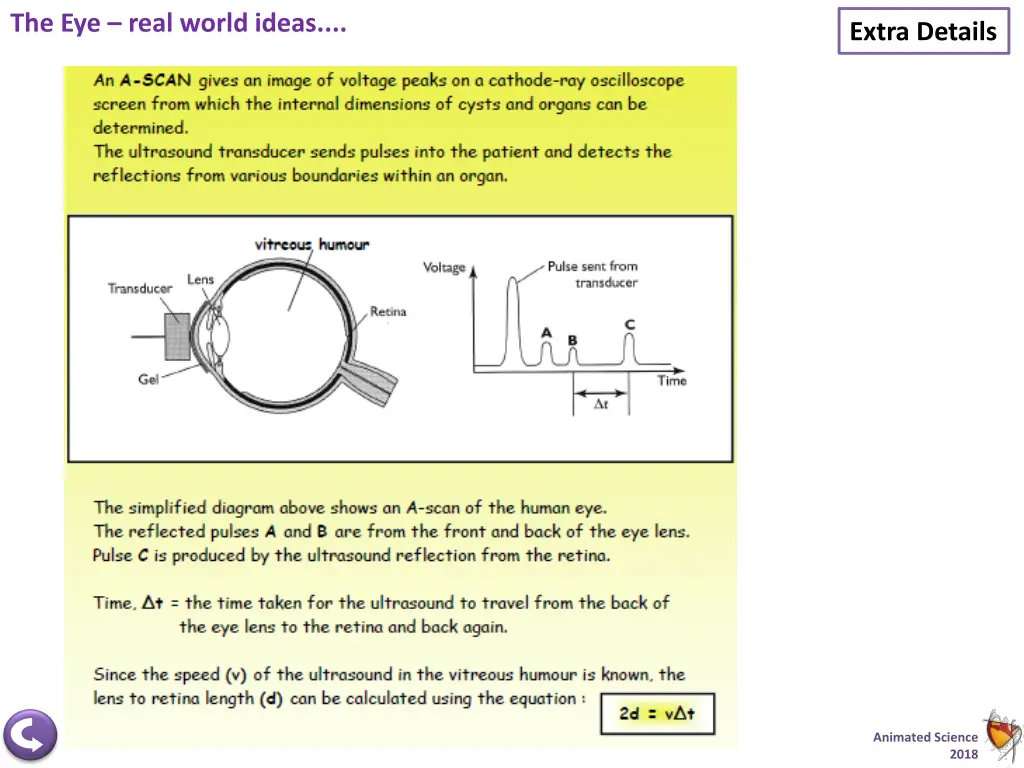 the eye real world ideas