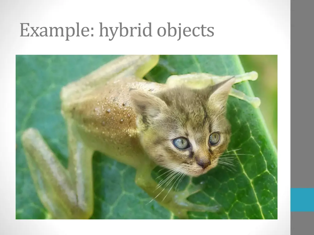 example hybrid objects