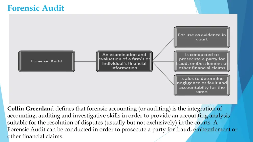 forensic audit 1