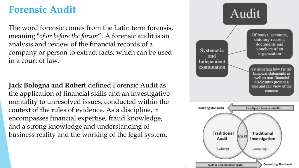 forensic audit