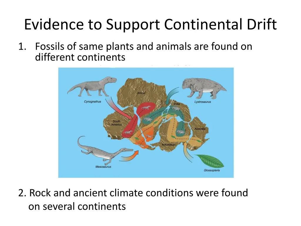 evidence to support continental drift