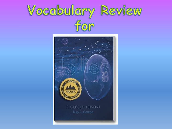 vocabulary review for