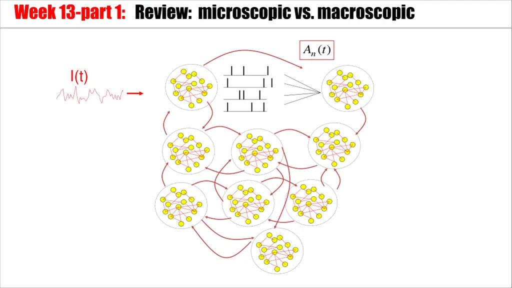 week 13 part 1 review microscopic vs macroscopic