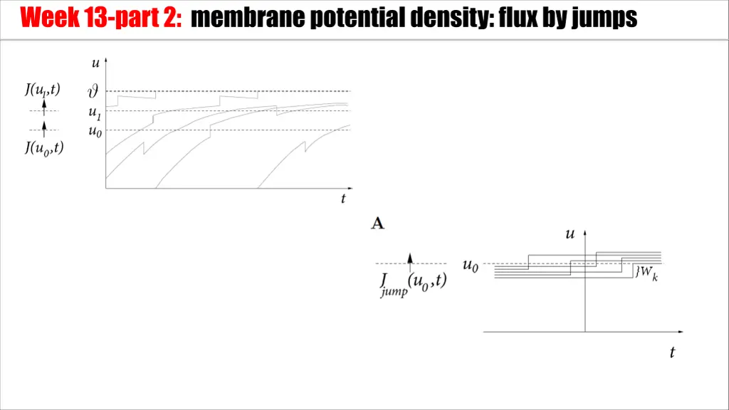 week 13 part 2 membrane potential density flux