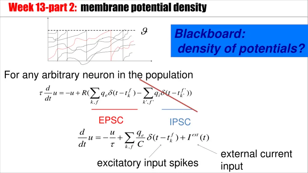 week 13 part 2 membrane potential density