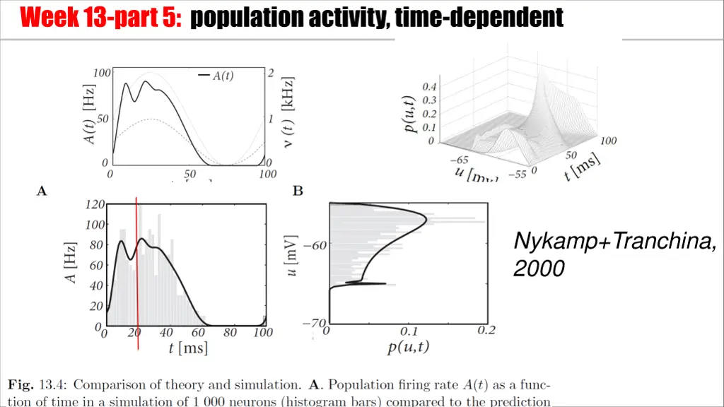 week 13 part 5 population activity time dependent