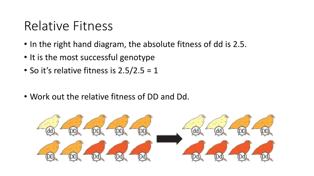 relative fitness 1