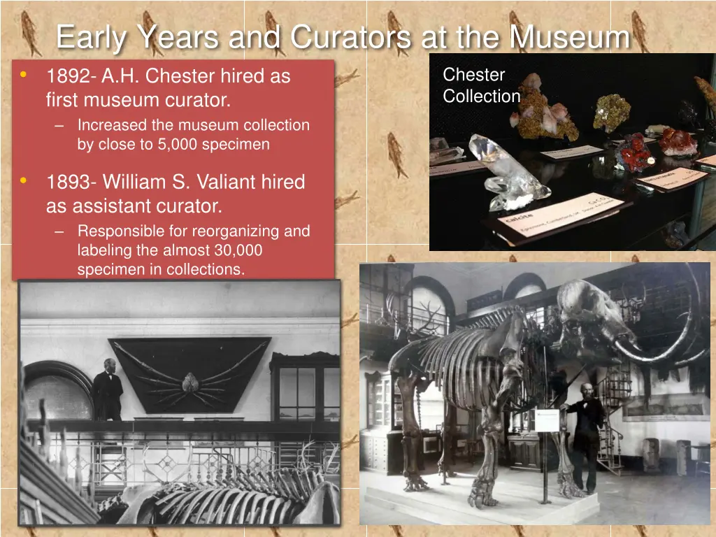 early years and curators at the museum 1892