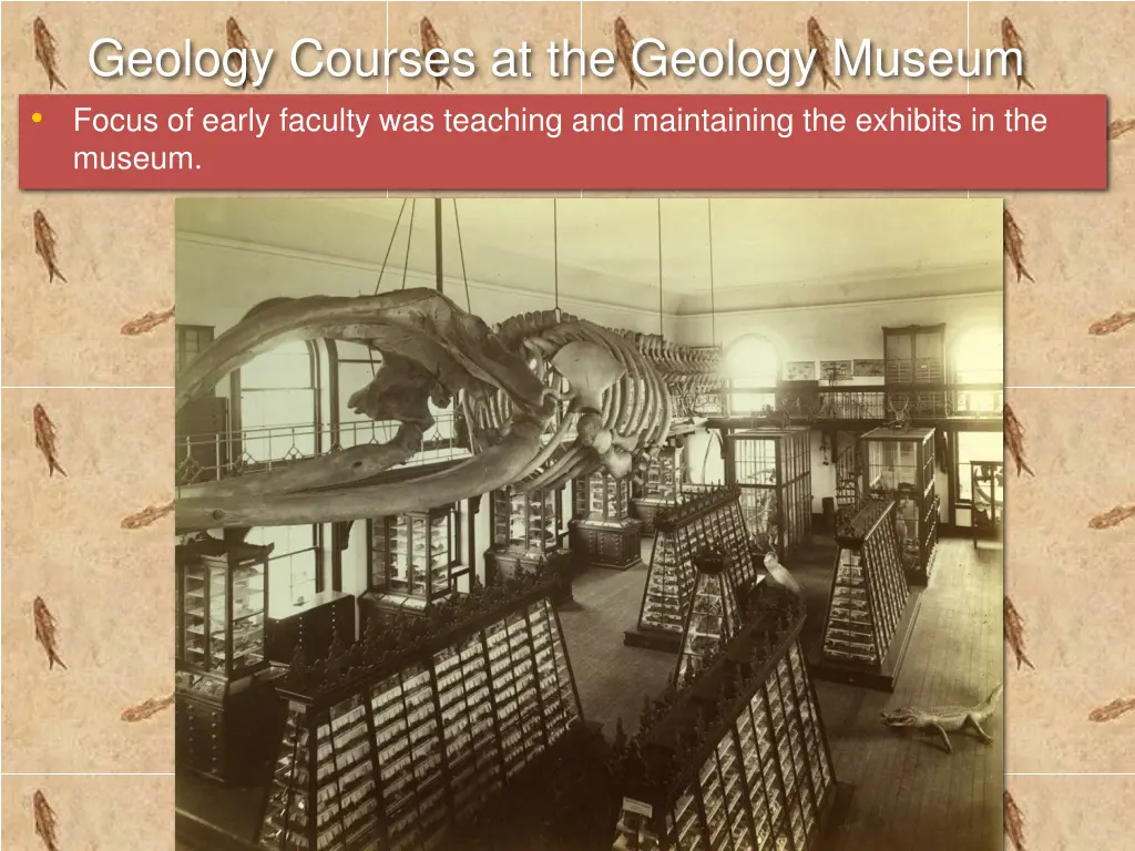 geology courses at the geology museum focus