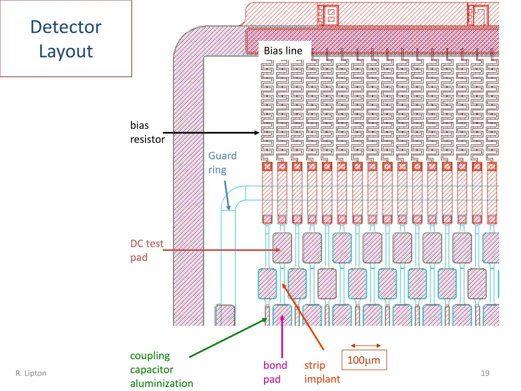 detector layout