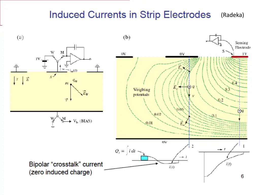 strip detector