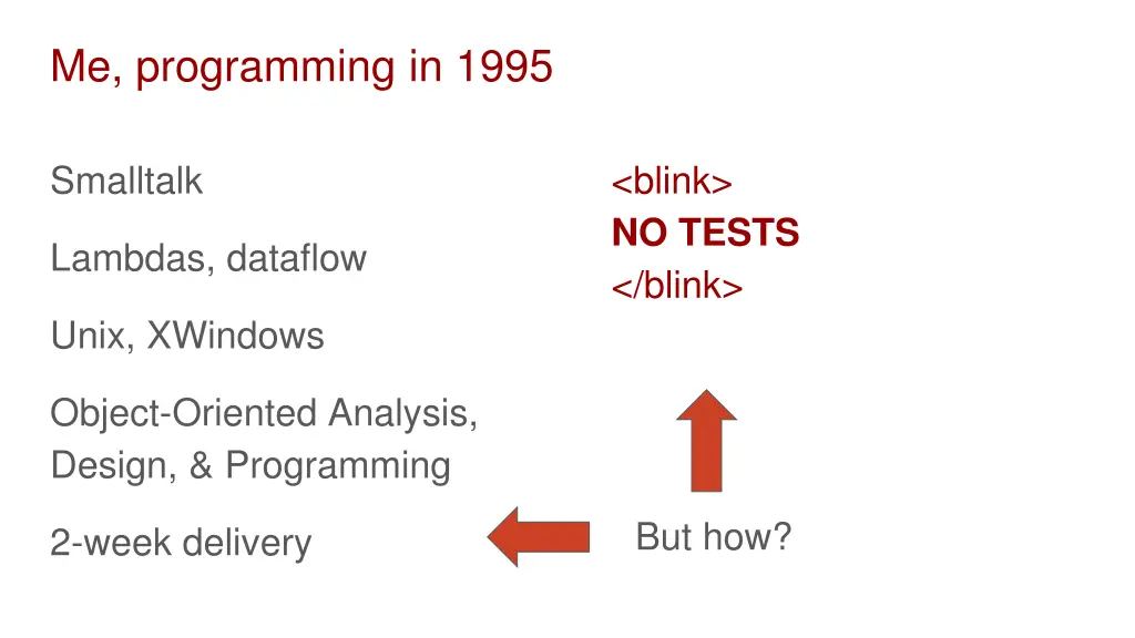 me programming in 1995 1