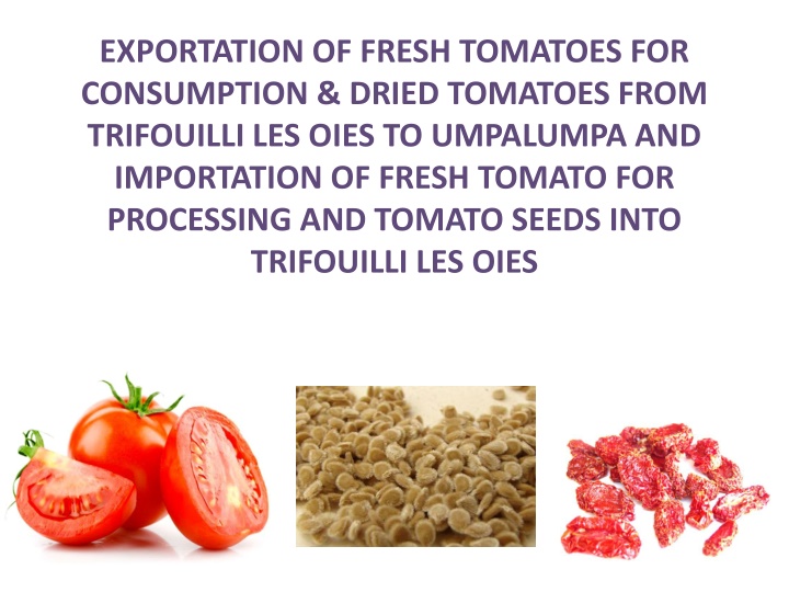 exportation of fresh tomatoes for consumption