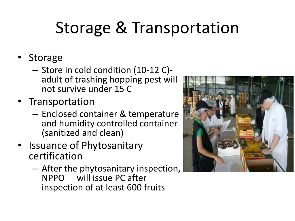 storage transportation