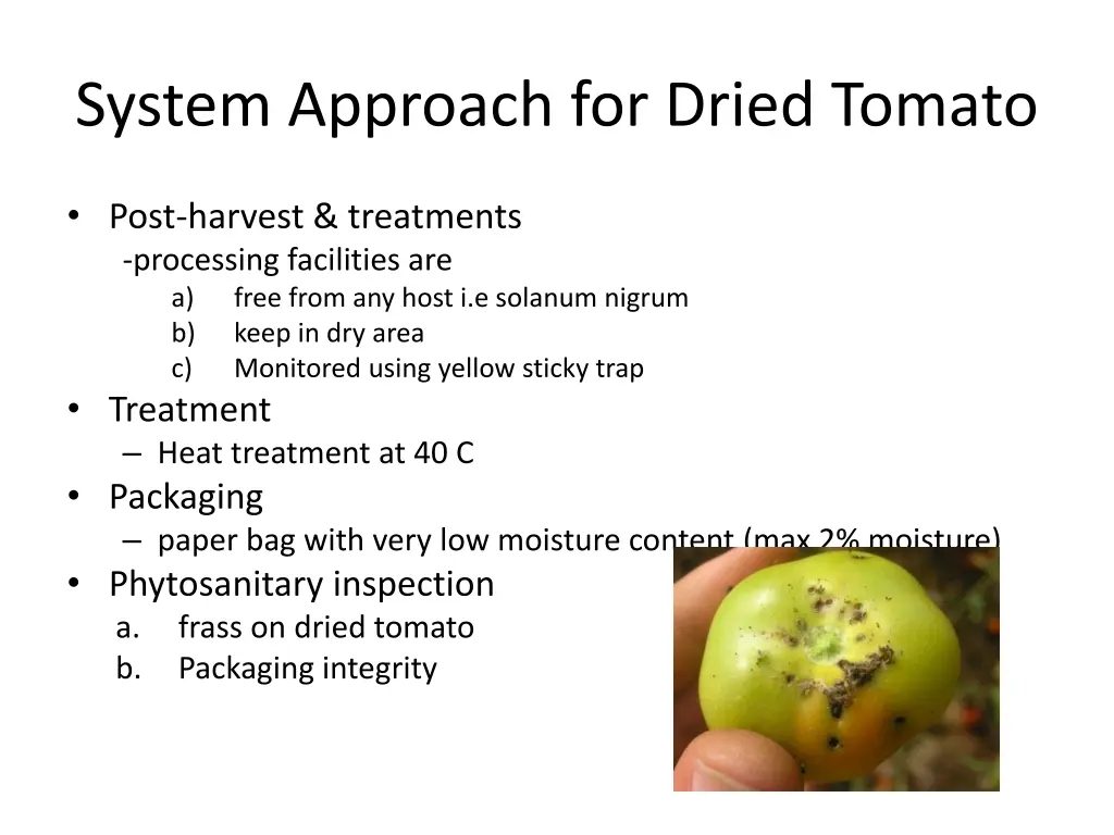 system approach for dried tomato